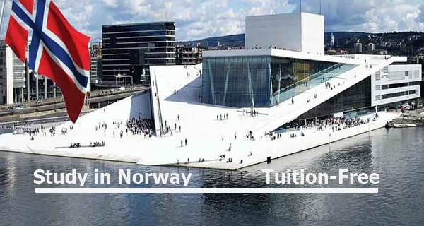 Read more about the article 5 Top Universities and Colleges Offering Free Education in Norway in 2024